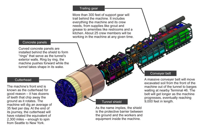 Illustration for article titled Big Bertha Is Digging Seattle's Massive Underground Freeway